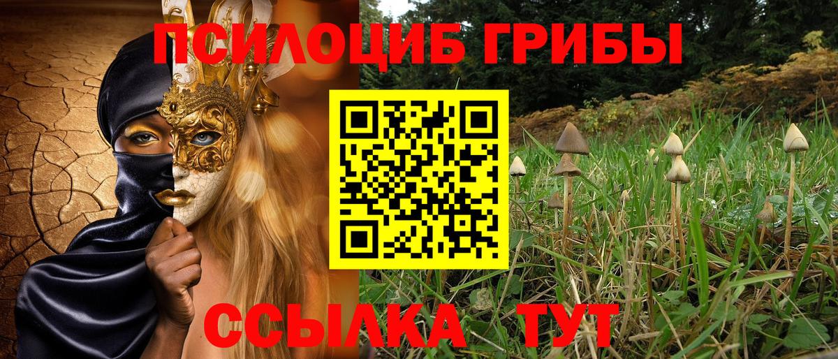 ГАШИШ Малоярославец