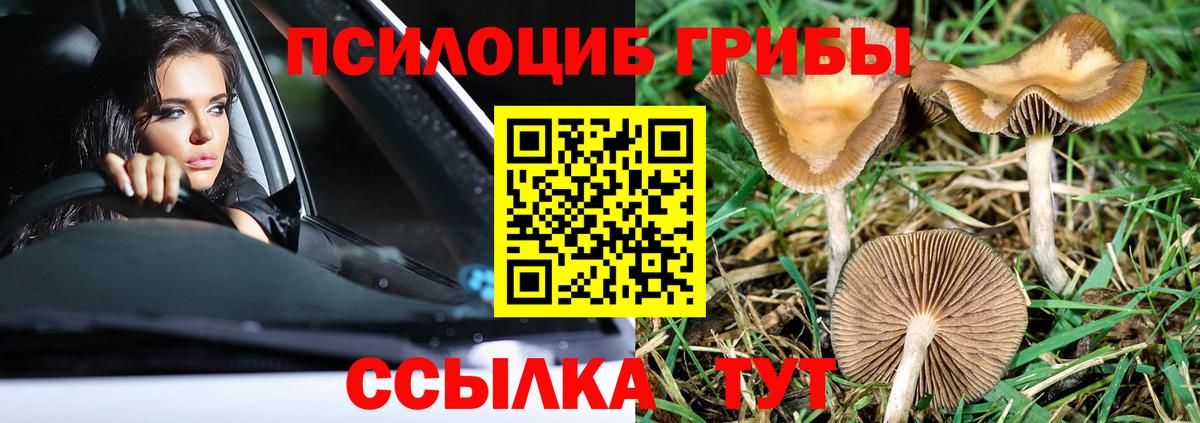 Малоярославец  Псилоцибиновые грибы мухоморы  Вход с VPN 
